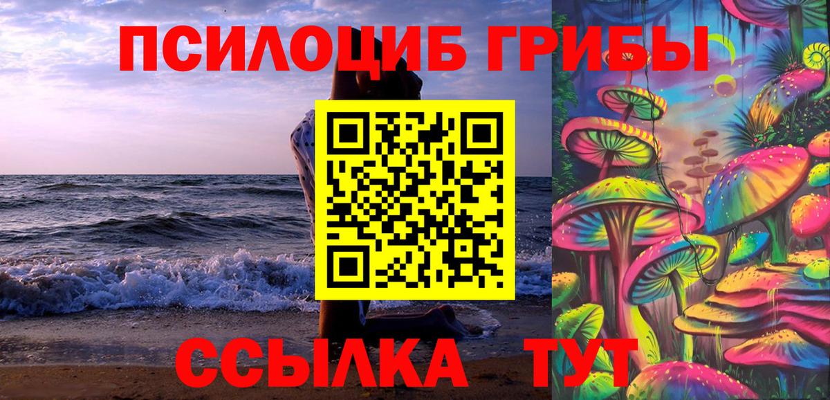 Урюпинск  Псилоцибиновые грибы Psilocybine cubensis  Вход с VPN 